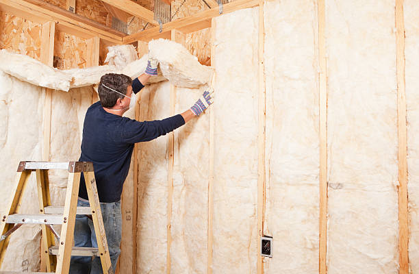 Best Soundproof Insulation  in Tunnel Hill, GA